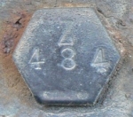 Z484 Badge